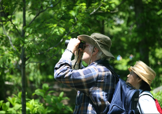 Birdwatching